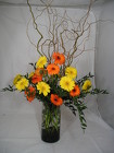 Glorious Gerbera 