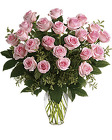 2 DOZEN LONG STEM ROSES - CHOICE OF COLOR* In Waterford Michigan Jacobsen's Flowers
