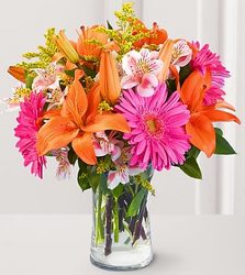 Blooming Brilliance