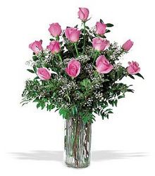 Long Stem Pink Roses