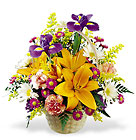 Natural Wonders Bouquet