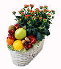 Fruit and Flowering