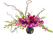 Magnificent Orchid Bouquet