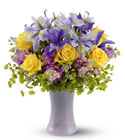 Lavender Sunshine