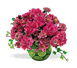 Hot Pink with Limes