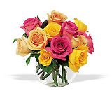 Carnival of Roses